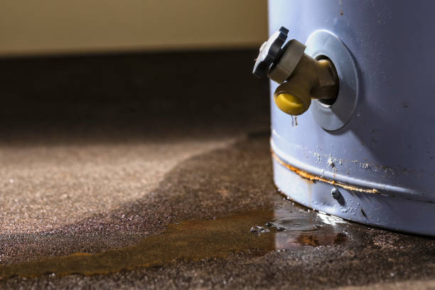 Best Commercial water damage restoration  in Laguna Hills, CA