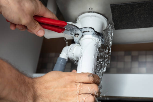 Best Flooded house restoration  in Laguna Hills, CA