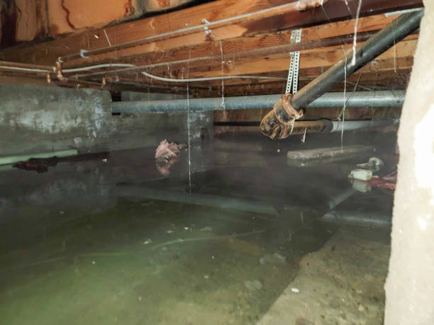 Best Ceiling water damage repair  in Laguna Hills, CA