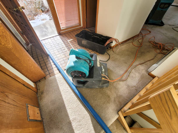 Water damage restoration mold remediation in Laguna Hills, CA