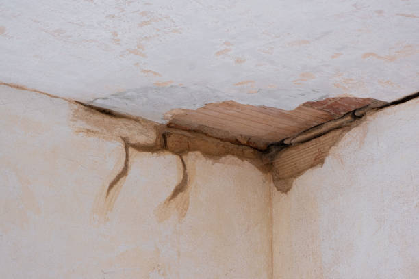 Best Flood restoration services  in Laguna Hills, CA