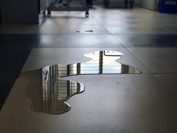 Best Local water damage restoration  in Laguna Hills, CA