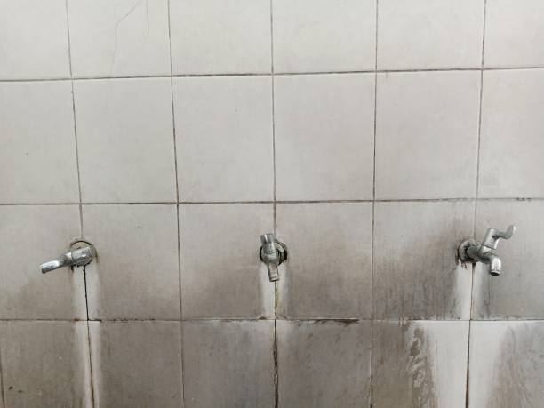 Best Mold removal after water damage  in Laguna Hills, CA