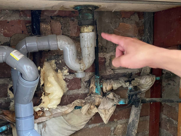 Best Mold removal after water damage  in Laguna Hills, CA