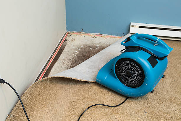 Best Water damage restoration specialists  in Laguna Hills, CA